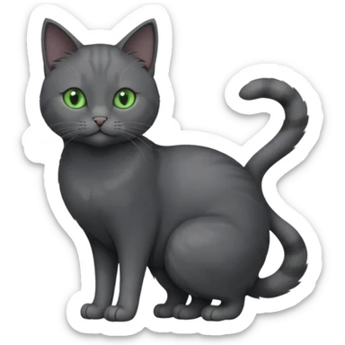 full body view of beautiful female solid dark grey cat with green eyes, grey face, white toes/paws and small white patch on her chest sticker