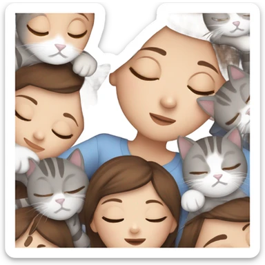 Girl with brown hair and Brown eyes sleeping with two gray cara sticker