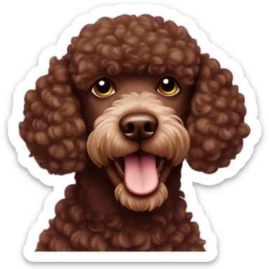 Chocolate poodle hooligan sticker