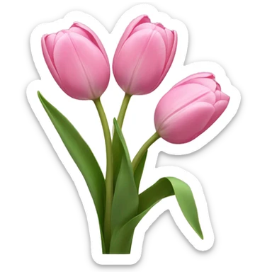 Light pink tulips sticker