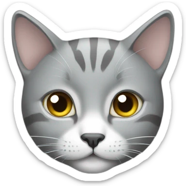 Grey cat with some white sticker