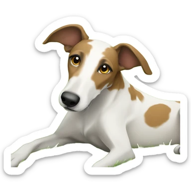 White and brown lurcher lounging on grass outdoors sticker