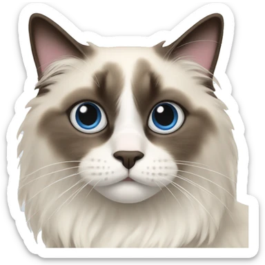 ragdoll cat sticker