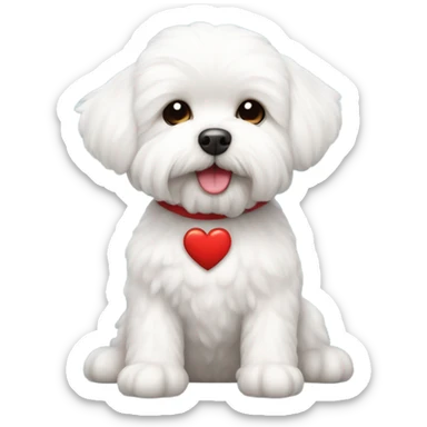 Maltese Bichon with a red heart sticker