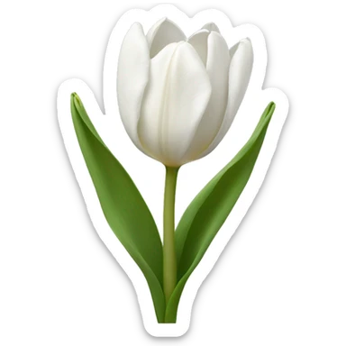 white tulips sticker