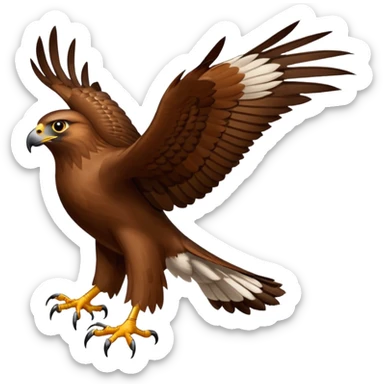Hawk sticker