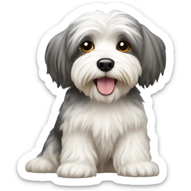 Havanese dog white sticker
