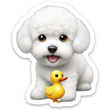 White little Bichon Frize with toy duck  sticker