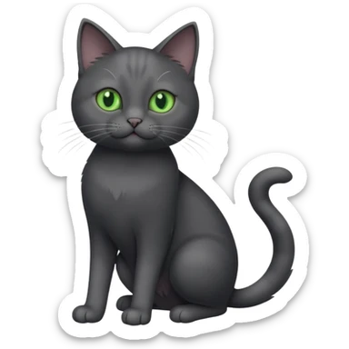 full body gorgeous solid dark grey cat with green eyes, white paws and white whiskers playing sticker