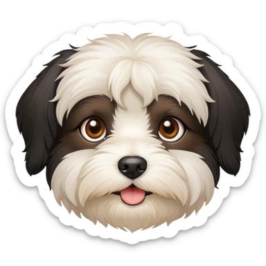 black Havanese dog face with brown eyes sticker