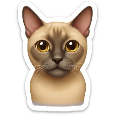 Burmese cat sticker
