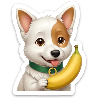 A cute all white silly dog with dark green collar brown eyes holding a banana in it’s mouth sticker
