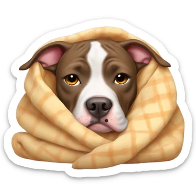 Pitbull snuggled up in blanket  sticker