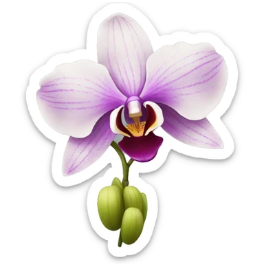orchid sticker