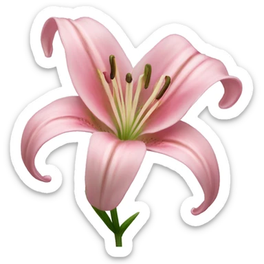 light pink lilium sticker