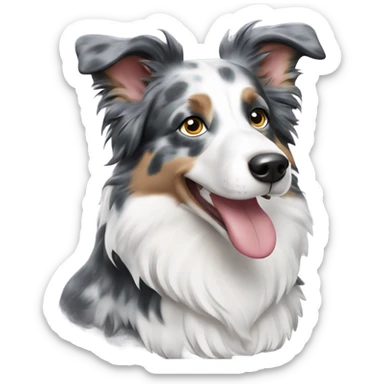 Blue Merle Border Collie sticker