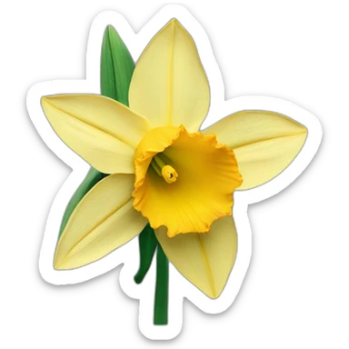 daffodil flower sticker
