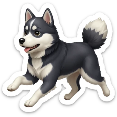 a black and white husky dog running towards the left sticker