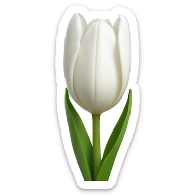 White tulips  sticker