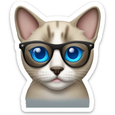 blue eyed siamese Tabby mixed cat wearing sunglasses  sticker