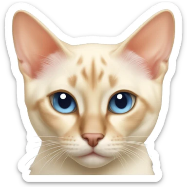 Flame point Siamese sticker