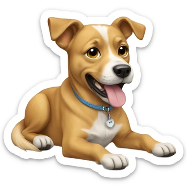 Dog with shoes sticker