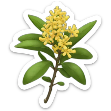 osmanthus sticker