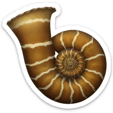 Ammonite sticker