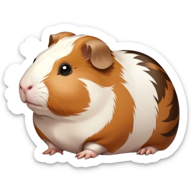Cinematic Noble Brown and White Banded Guinea Pig Portrait Emoji, Poised and regal, with a compact, chubby build and a uniquely patterned coat of warm brown and crisp white banding, deep-set soulful dark eyes, Simplified yet sharp and sophisticated features, highly detailed, glowing with a soft, dignified glow, high shine, intelligent and charming, stylized with an air of distinctive elegance, focused and attentive, soft glowing outline, capturing the essence of a watchful and confident companion, so majestic it feels as though it could scurry out of the screen with effortless authority! sticker