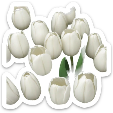 White tulips sticker