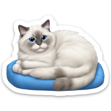 Blue point Ragdoll cat with short hair, sleeping on top of a hot water bottle   sticker