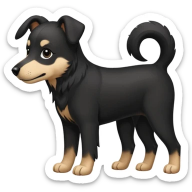 Chien noir avec poitrine et patte avant droite blanche sticker