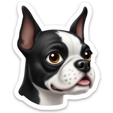 Boston terrier dog sticker
