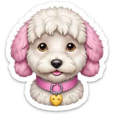white labradoodle dog pink collar sticker