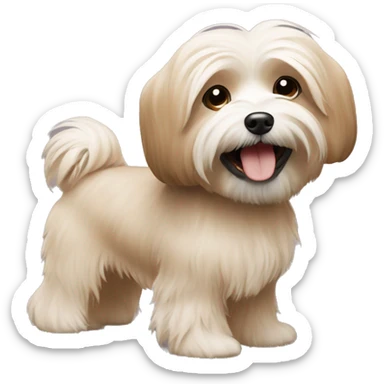 Havanese dancing light brown color sticker