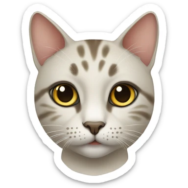Siames cat sticker