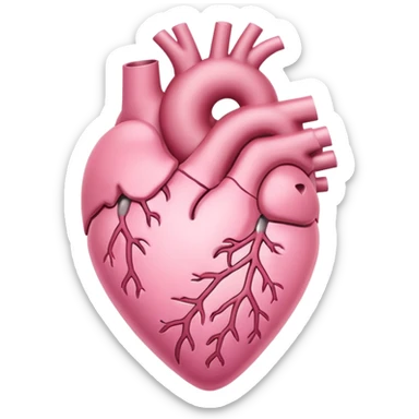 soft pastel pink anatomic heart with a gentle sparkle sticker