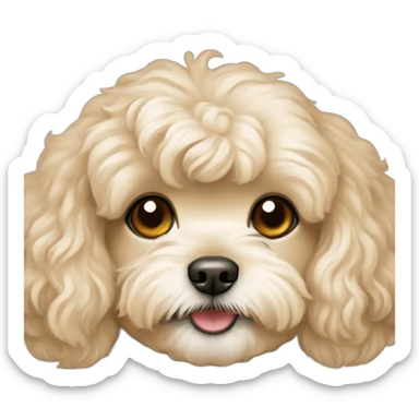 Maltipoo beige with blode long hair girl brown eyes sticker