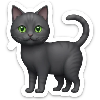 full body gorgeous solid dark grey cat with green eyes, white paws and white whiskers playing sticker
