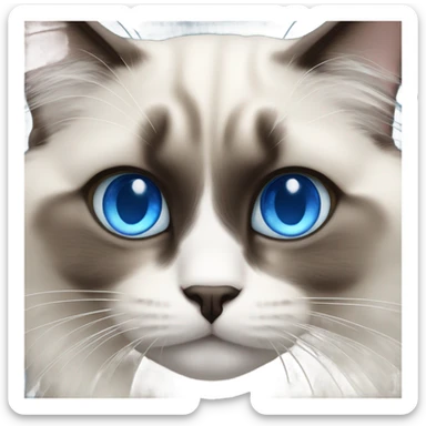 Ragdoll with blue eyes sticker