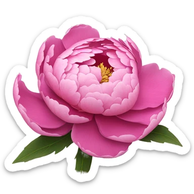 A beautiful pink peony that blooms sticker