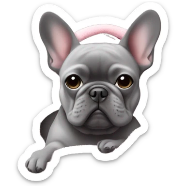 Grey French bulldog cuddled in a pink blanket on a fuzzy couch sticker