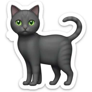 full body completely solid dark grey cat with green eyes and white paws sticker