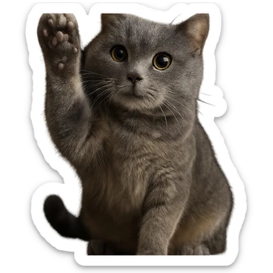 Make this British Shorthair cat with a raised paw and sparkling eyes look more realistic, keep the pose and expression, no background, photorealistic style. sticker