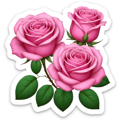 Pink Roses sticker
