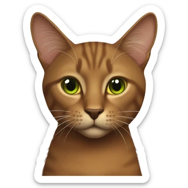 Brown cat with brown nose and orange/yellow/green eyes long black whiskers  sticker