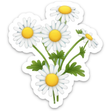 CHAMOMILE sticker