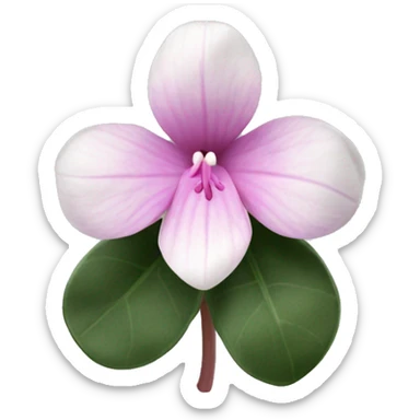 cyclamen single flower sticker