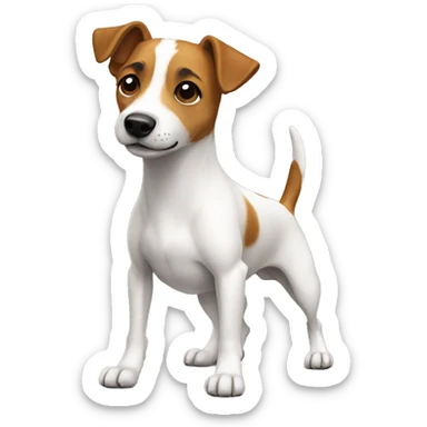 Jack russel full body sticker