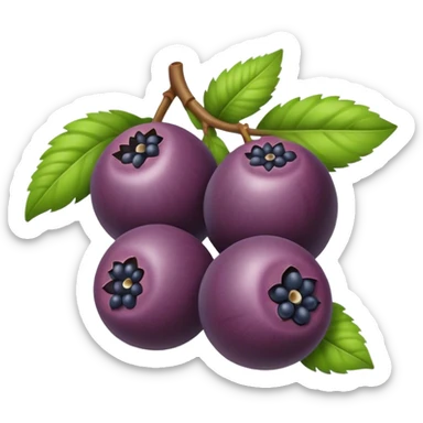acai berry sticker